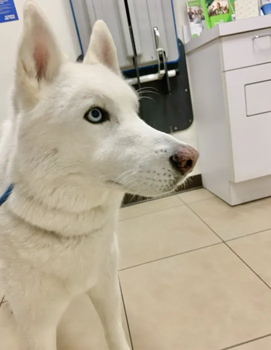 JH Animal Hospital Picture 4