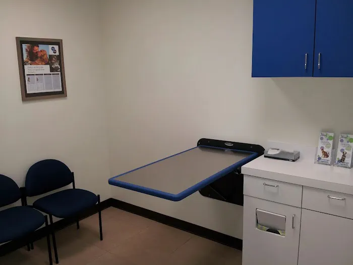 JH Animal Hospital Picture 3