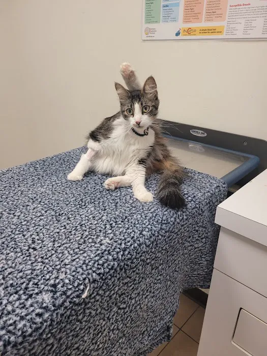 JH Animal Hospital Picture 6