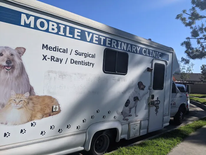 Mobile veterinary clinic Picture 2