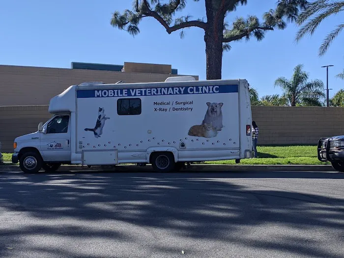 Mobile veterinary clinic Picture 3