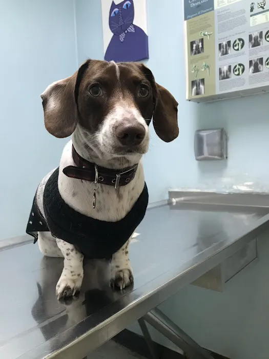 Animal Care Clinic Picture 5