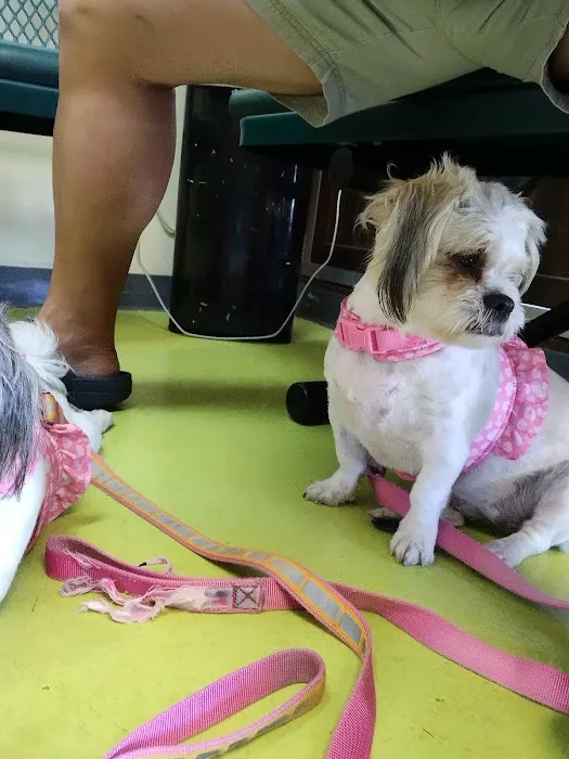 Animal Care Clinic Picture 2