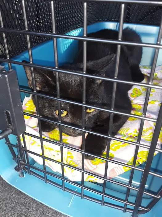 Animal Care Clinic Picture 4