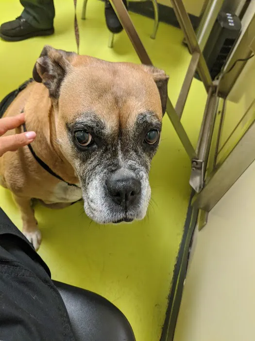 Animal Care Clinic Picture 8