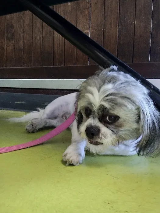 Animal Care Clinic Picture 3