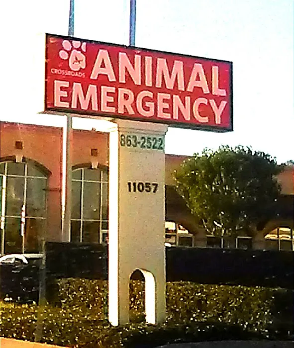 Crossroads Animal Emergency - Norwalk Picture 6