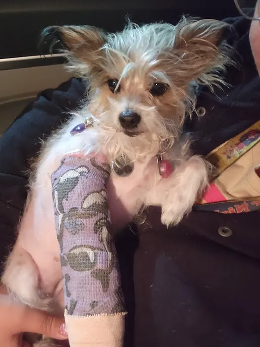Crossroads Animal Emergency - Norwalk Picture 2