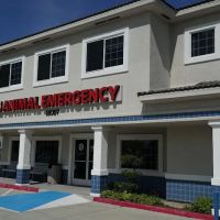 Crossroads Animal Emergency - Norwalk ico