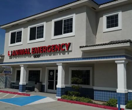 Crossroads Animal Emergency - Norwalk