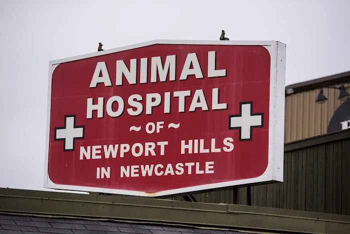 Animal Hospital of Newport Hills Picture 8