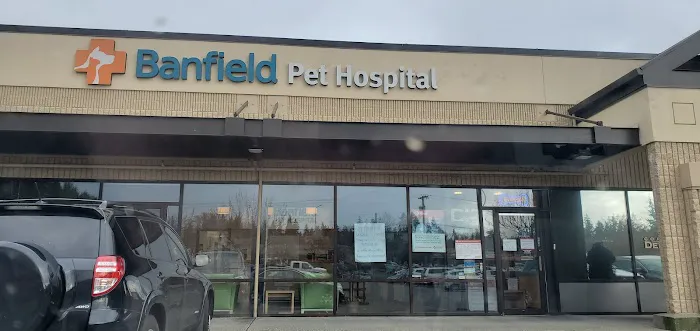 Banfield Pet Hospital Picture 6