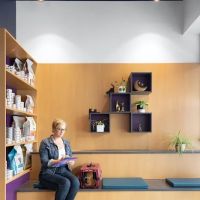 Galaxy Cats Vet Center ico