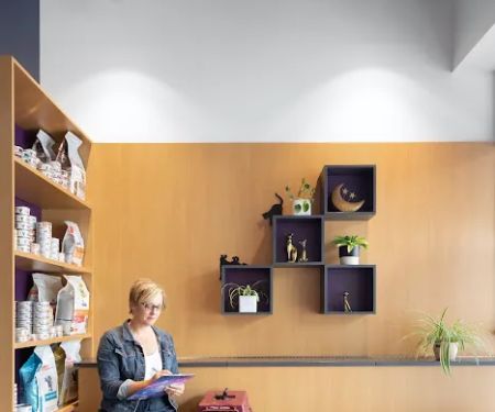 Galaxy Cats Vet Center