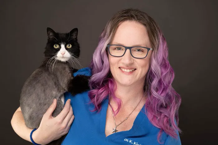 Galaxy Cats Vet Center Picture 4