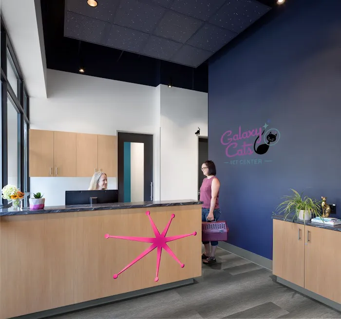 Galaxy Cats Vet Center Picture 3