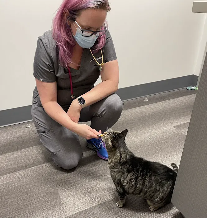 Galaxy Cats Vet Center Picture 10