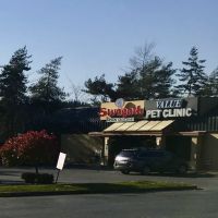 Pet Care Clinic of Bellevue ico