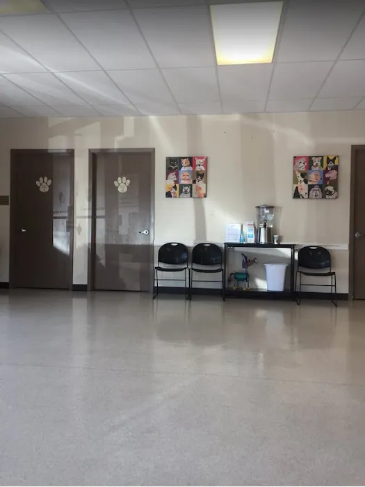 Pet Care Clinic of Bellevue Picture 9