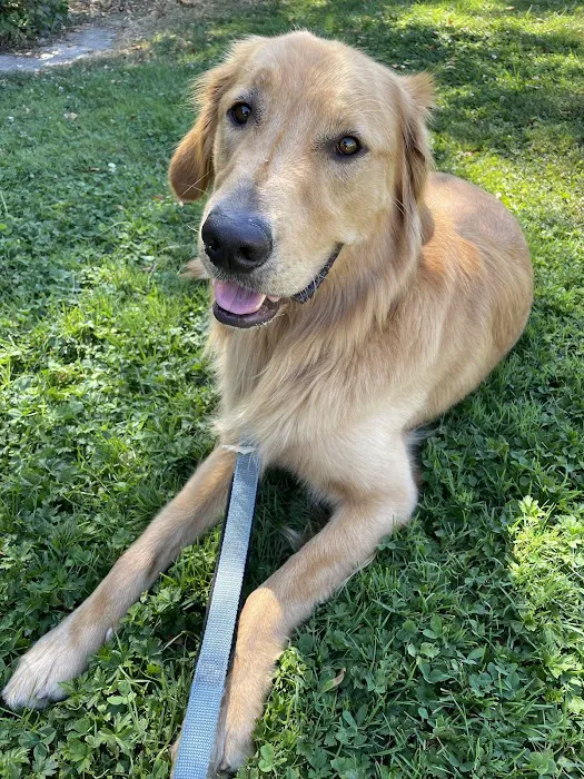 L&L Animal Urgent Care Picture 10