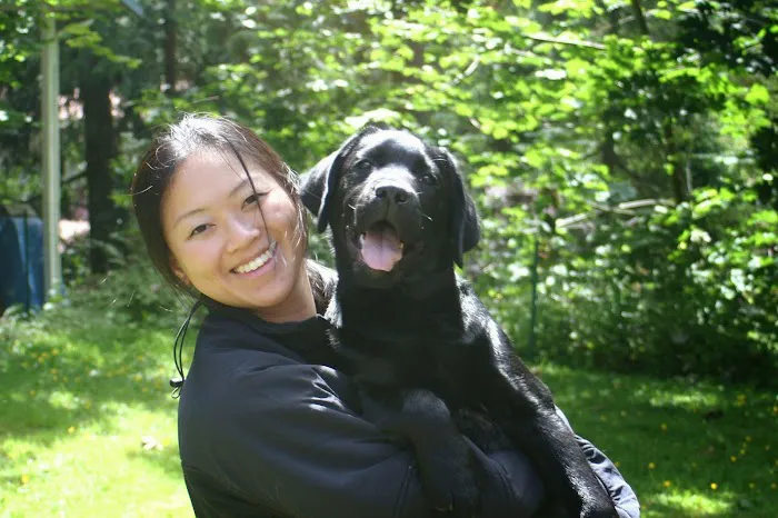 Companion Animal Hospital Picture 3