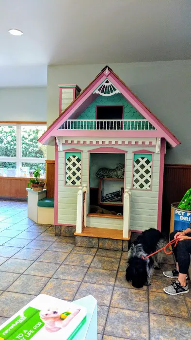 Companion Animal Hospital Picture 4