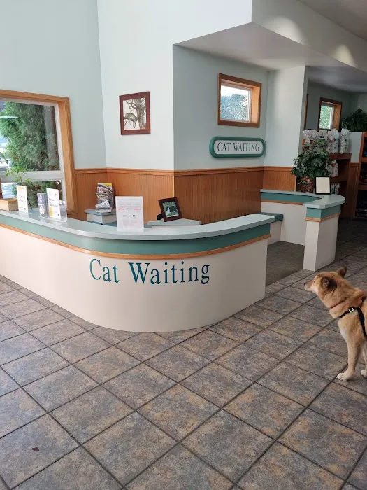 Companion Animal Hospital Picture 6