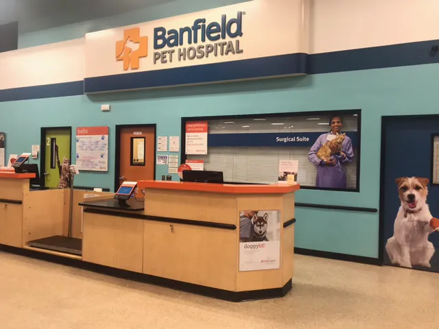 Banfield Pet Hospital Picture 3