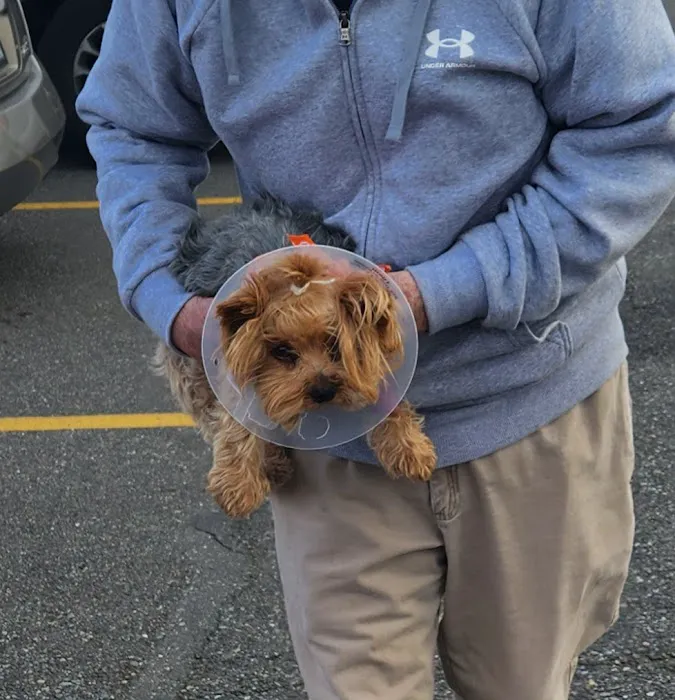 Banfield Pet Hospital Picture 8
