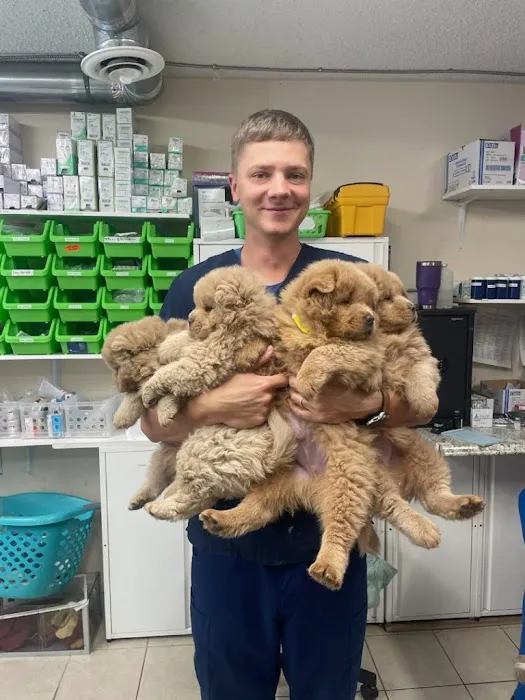 Crossroads Vet Picture 8