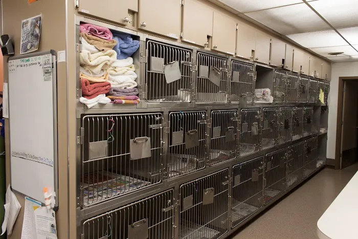 Aerowood Animal Hospital Ps Inc: Smith Candice DVM Picture 4