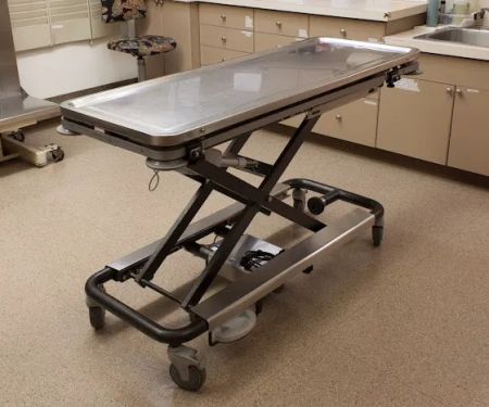 Aerowood Animal Hospital Ps Inc: Smith Candice DVM