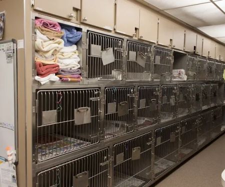 Aerowood Animal Hospital Ps Inc: Weiser Lisa DVM