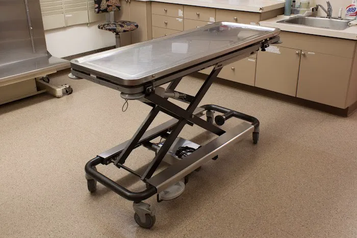 Aerowood Animal Hospital Ps Inc: Weiser Lisa DVM Picture 4