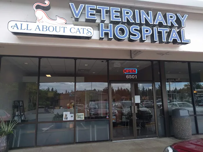All About Cats Veterinary Hospital Picture 10