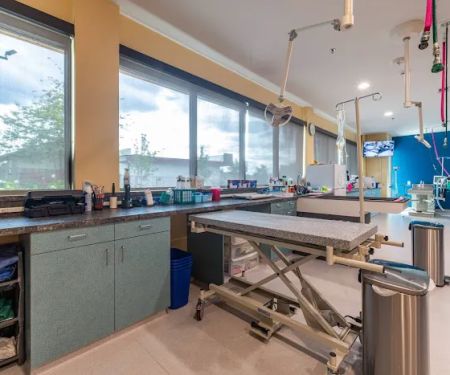 Happy Tails Animal Hospital