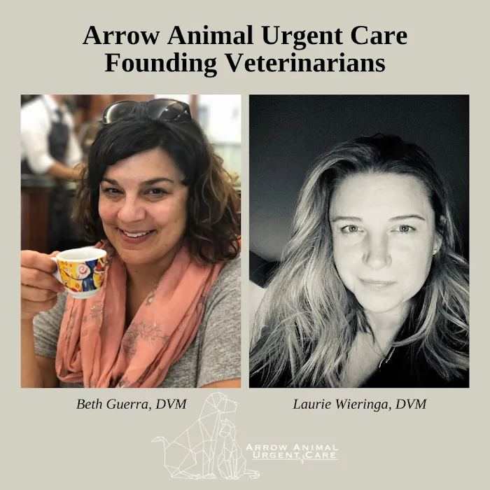 Arrow Animal Urgent Care Picture 9