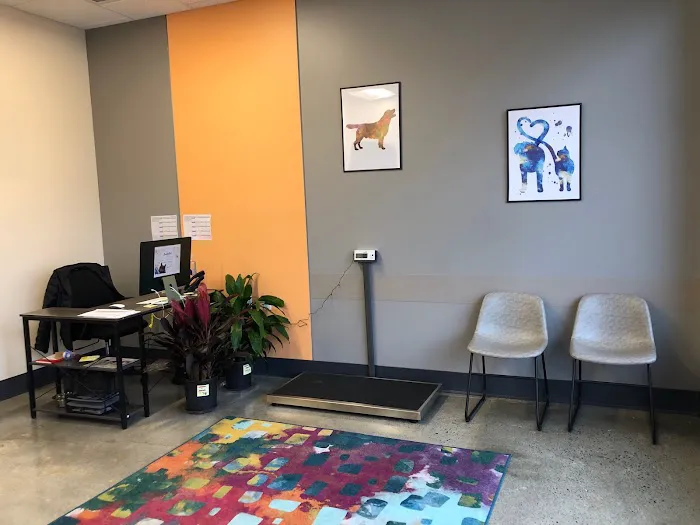 BoosterPet Veterinary Care & Urgent Care in Renton Picture 6