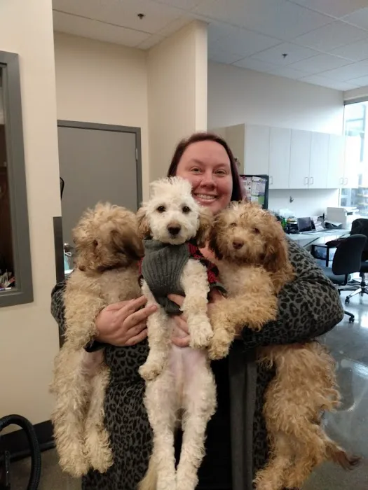 BoosterPet Veterinary Care & Urgent Care in Renton Picture 3