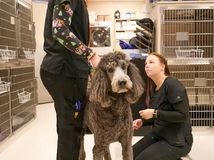 Lakefield Veterinary Group Picture 9