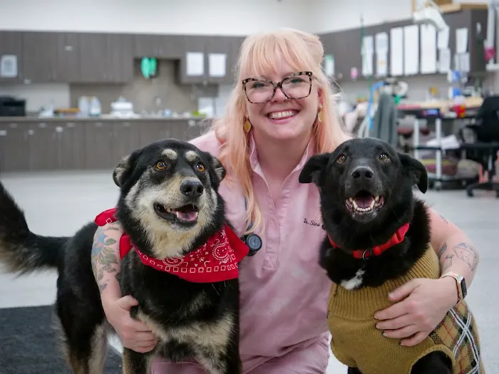 Lakefield Veterinary Group Picture 2