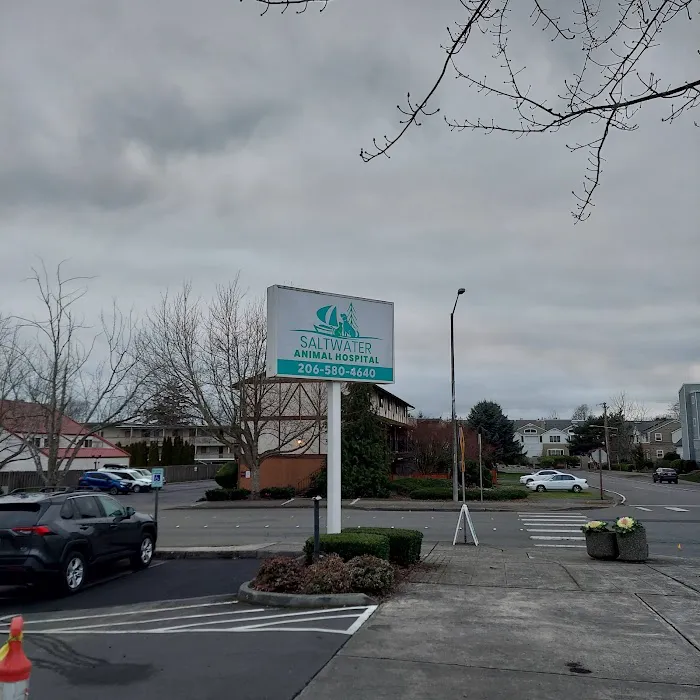 Saltwater Animal Hospital Picture 4