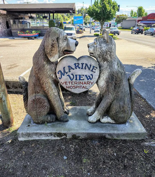 Marine View Veterinary Hospital Picture 7