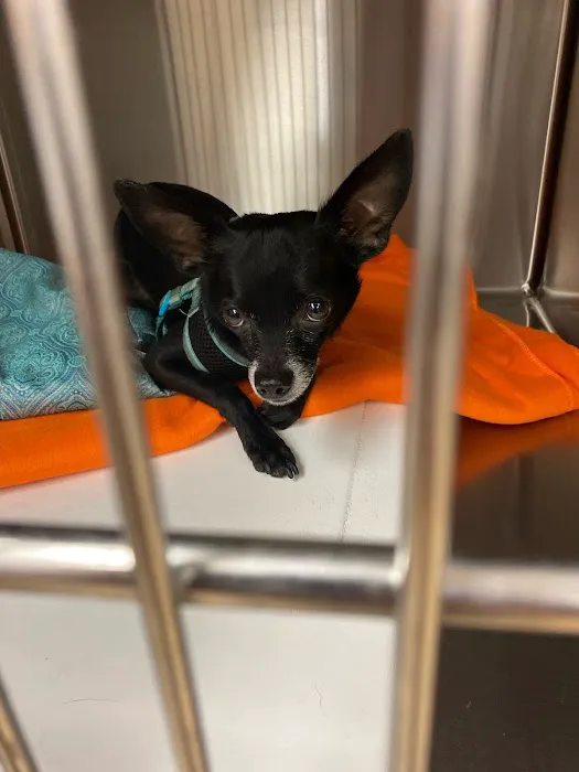 Banfield Pet Hospital Picture 3