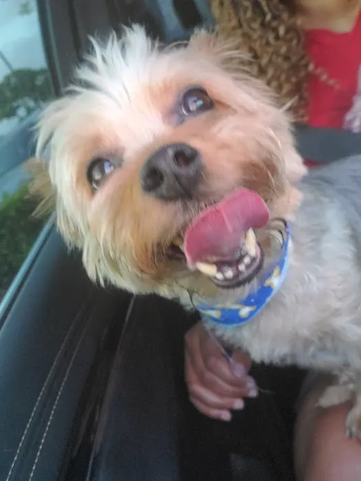 Banfield Pet Hospital Picture 8