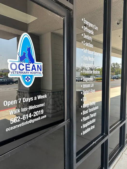 Ocean Veterinary Hospital Picture 6