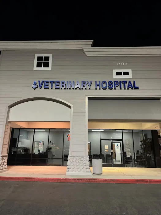 Ocean Veterinary Hospital Picture 5