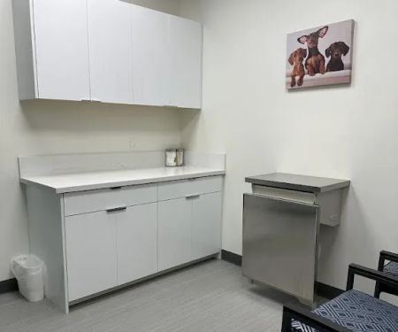 Ocean Veterinary Hospital
