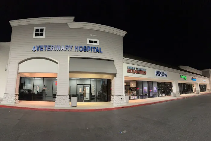 Ocean Veterinary Hospital Picture 4