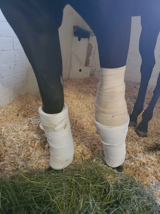 Equine Medical Center Picture 1